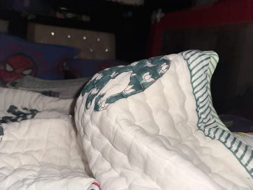 Customer photo review of Organic Mulmul Cotton Quilt