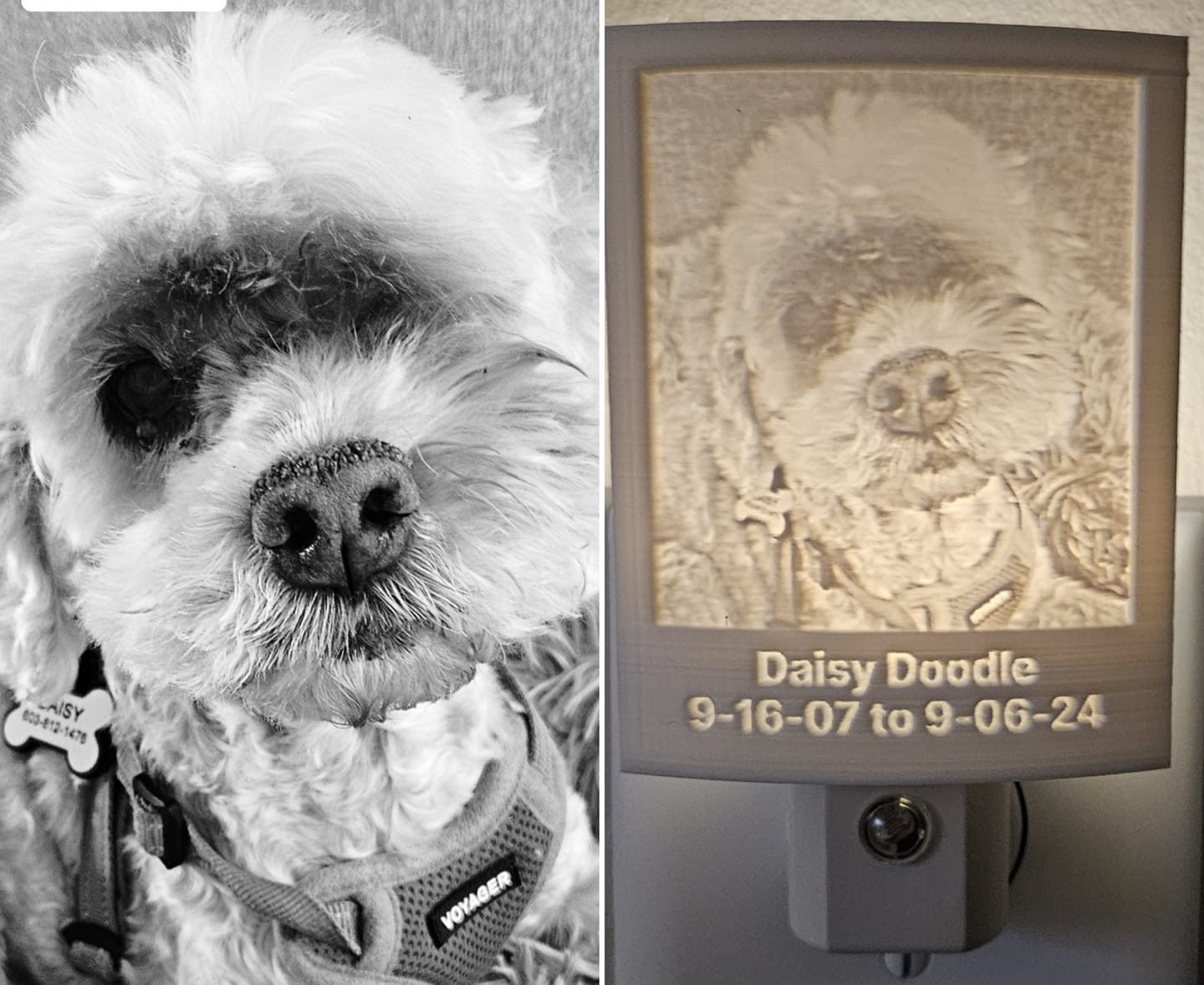 Customer photo review of Memory Frame™ Personalized Night Light