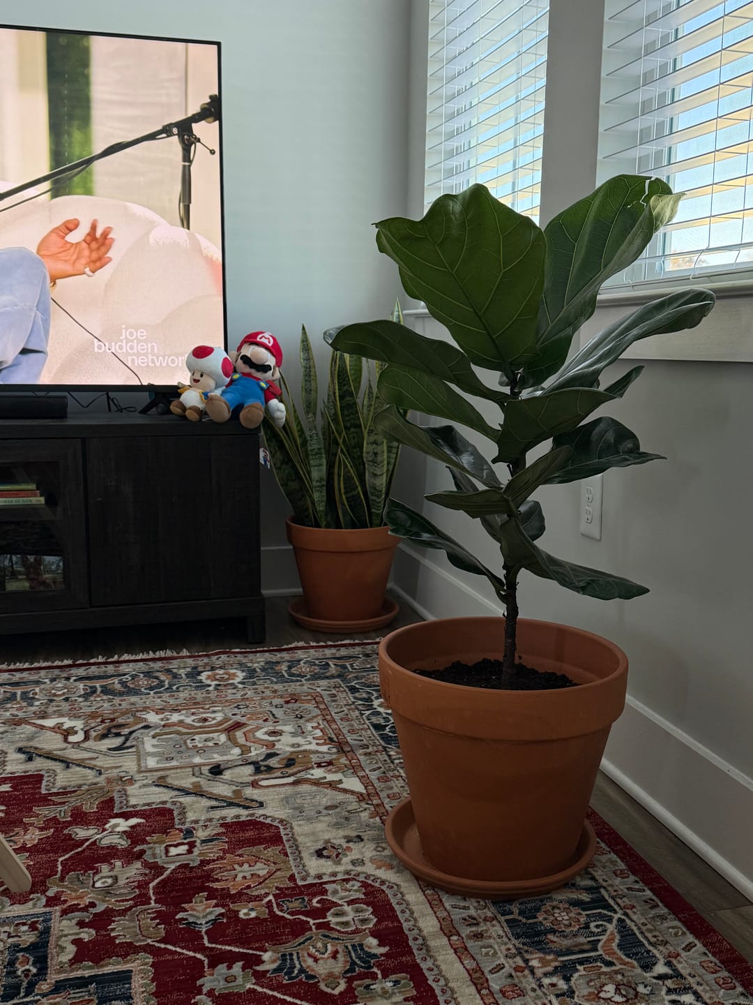 Customer photo review of Neem Oil Pre-Emulsified Signature Starter Kit