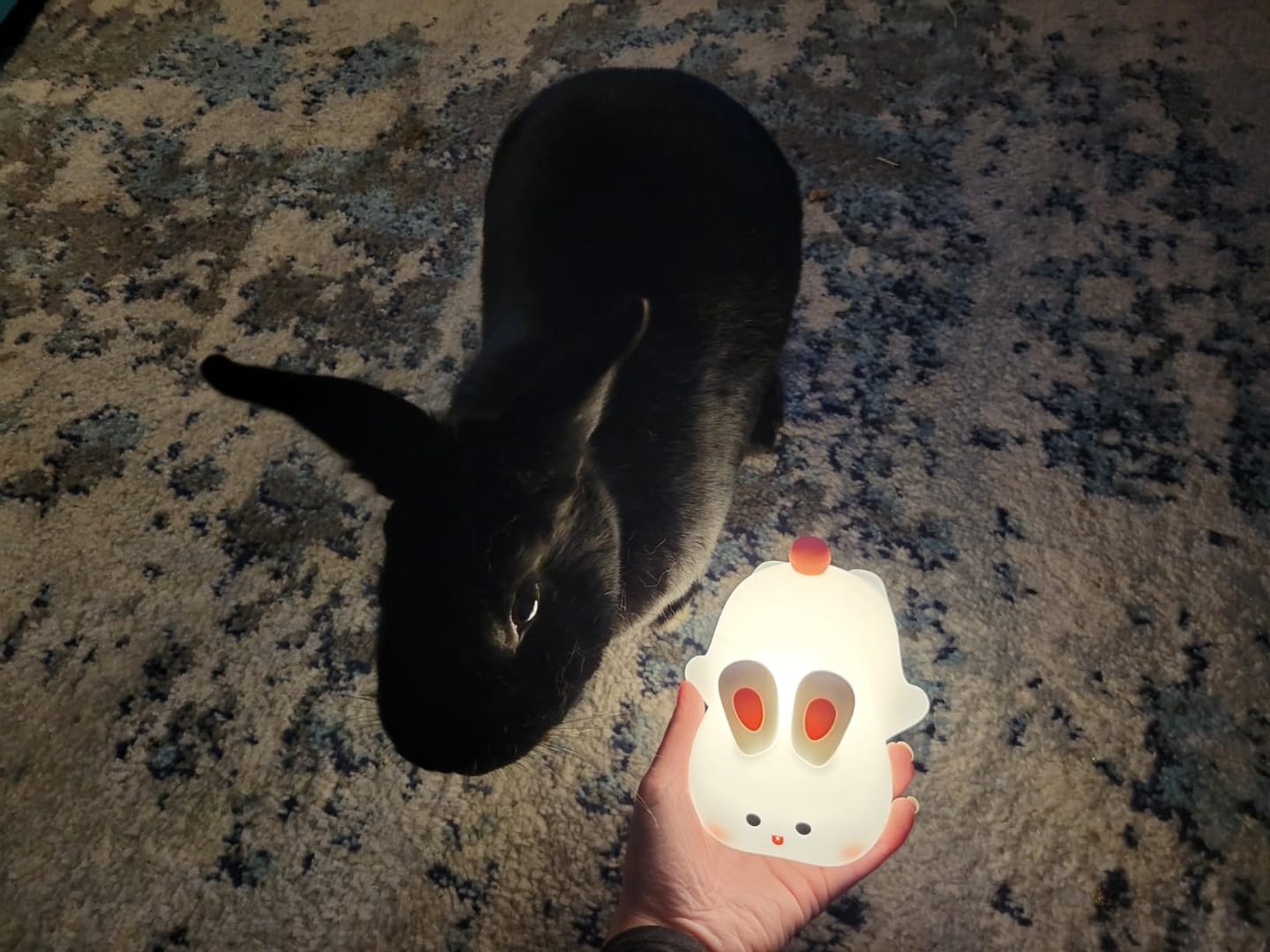 Customer photo review of MeWaii® Squishy Silicone Tap Tap Night Light 2025 - Best Gift For Girls and Kids
