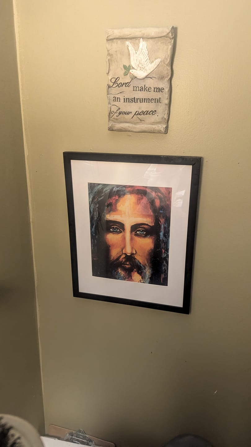 Customer photo review of The Shroud of Turin - The Colors of Life