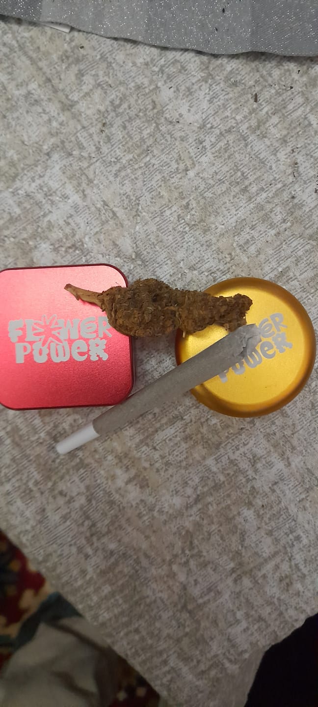Customer photo review of 🍓 Strawberry - POWER LVL: 4.5/5