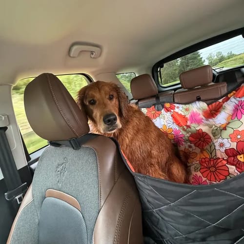 Customer photo review of Hippie Flower Power Dog Car Seat Covers