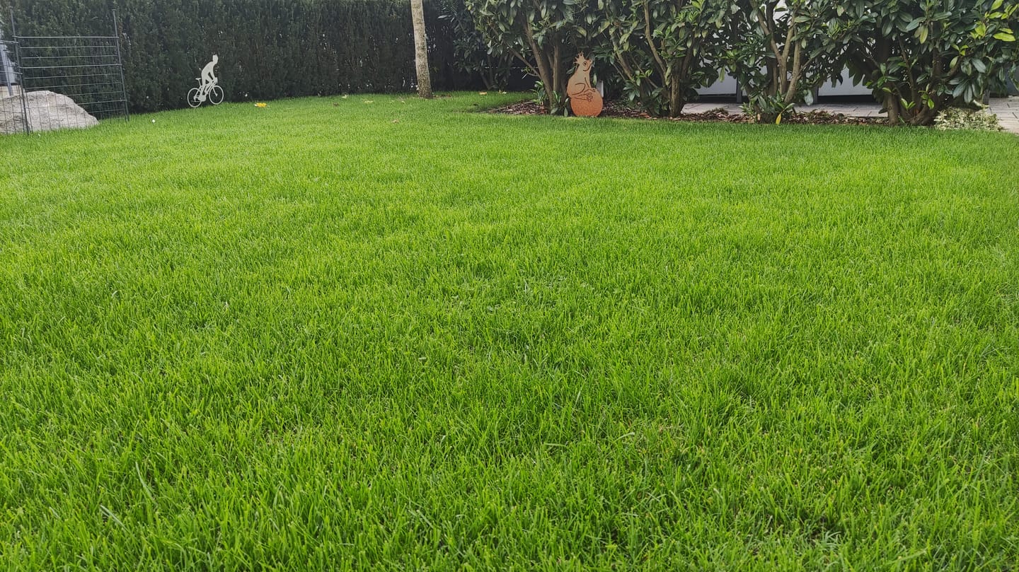 Customer photo review of Animatio Herbst-Rasendünger