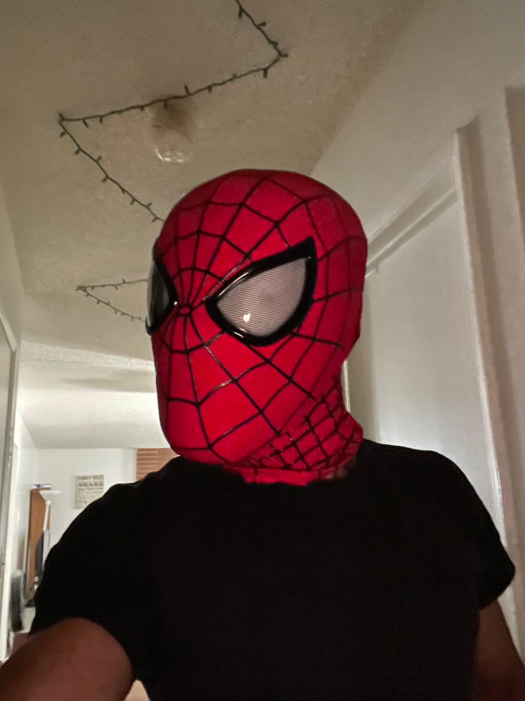 Customer photo review of SpideyJunky™ TASM 2 Spidey Mask