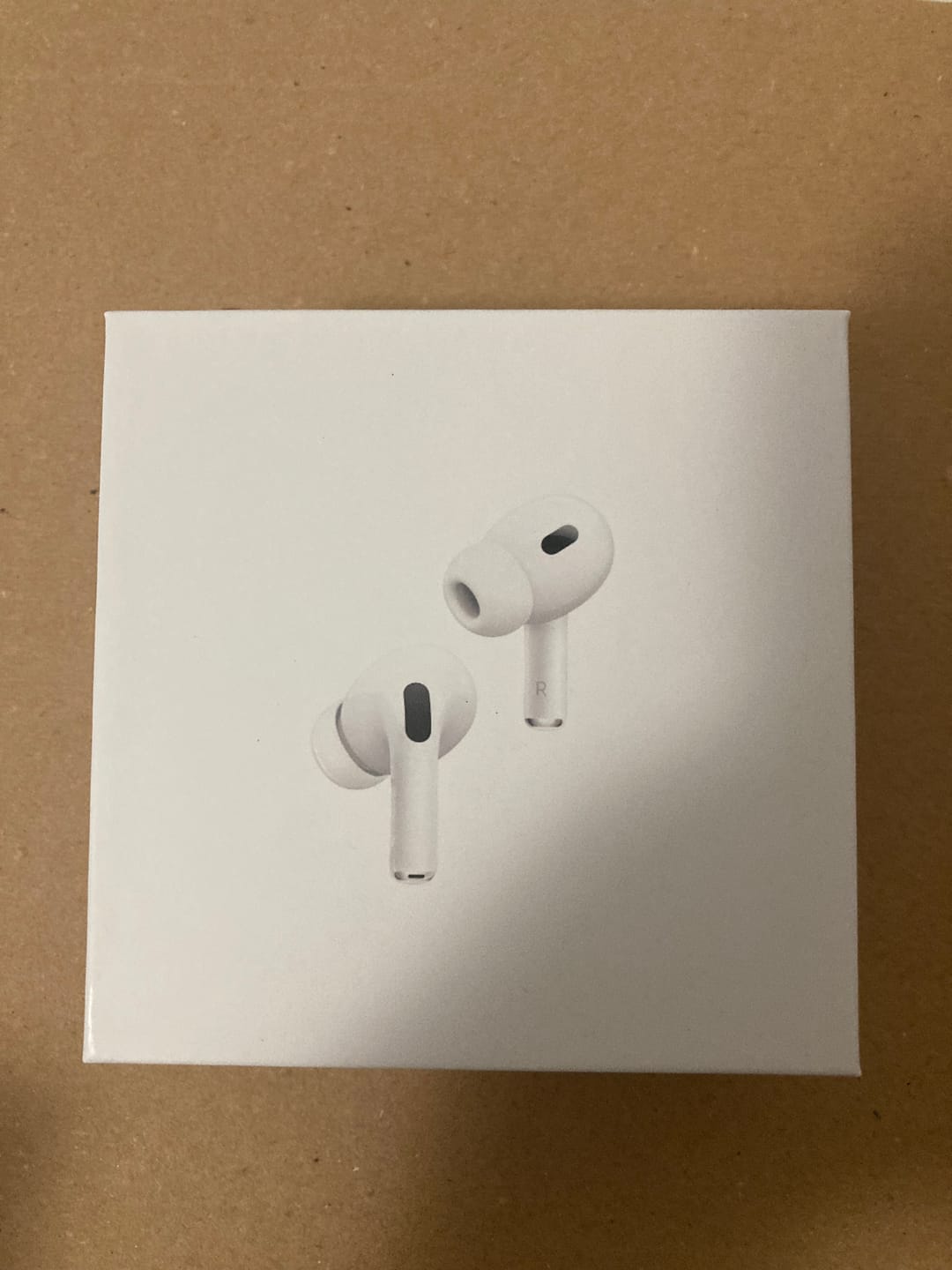 Customer photo review of Pods Pro 3 (2024)