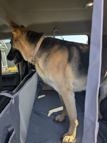 Customer photo review of NEW Waterproof Hard Bottom Car & Truck Seat Foldable Hammock Cover With Storage Pockets, Side Flaps, Headrest Straps, Seat Anchors, & Mesh Window (+FREE SAFETY BELT!)