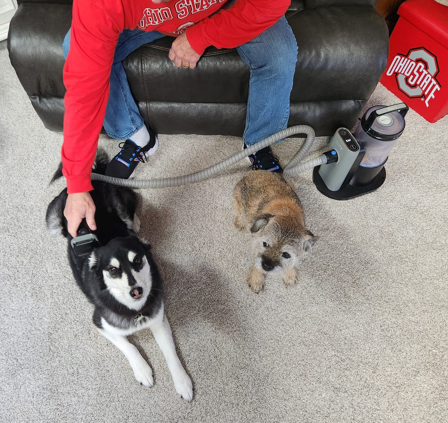 Customer photo review of furMe™️ Professional PLUS Pet Grooming Vacuum Kit
