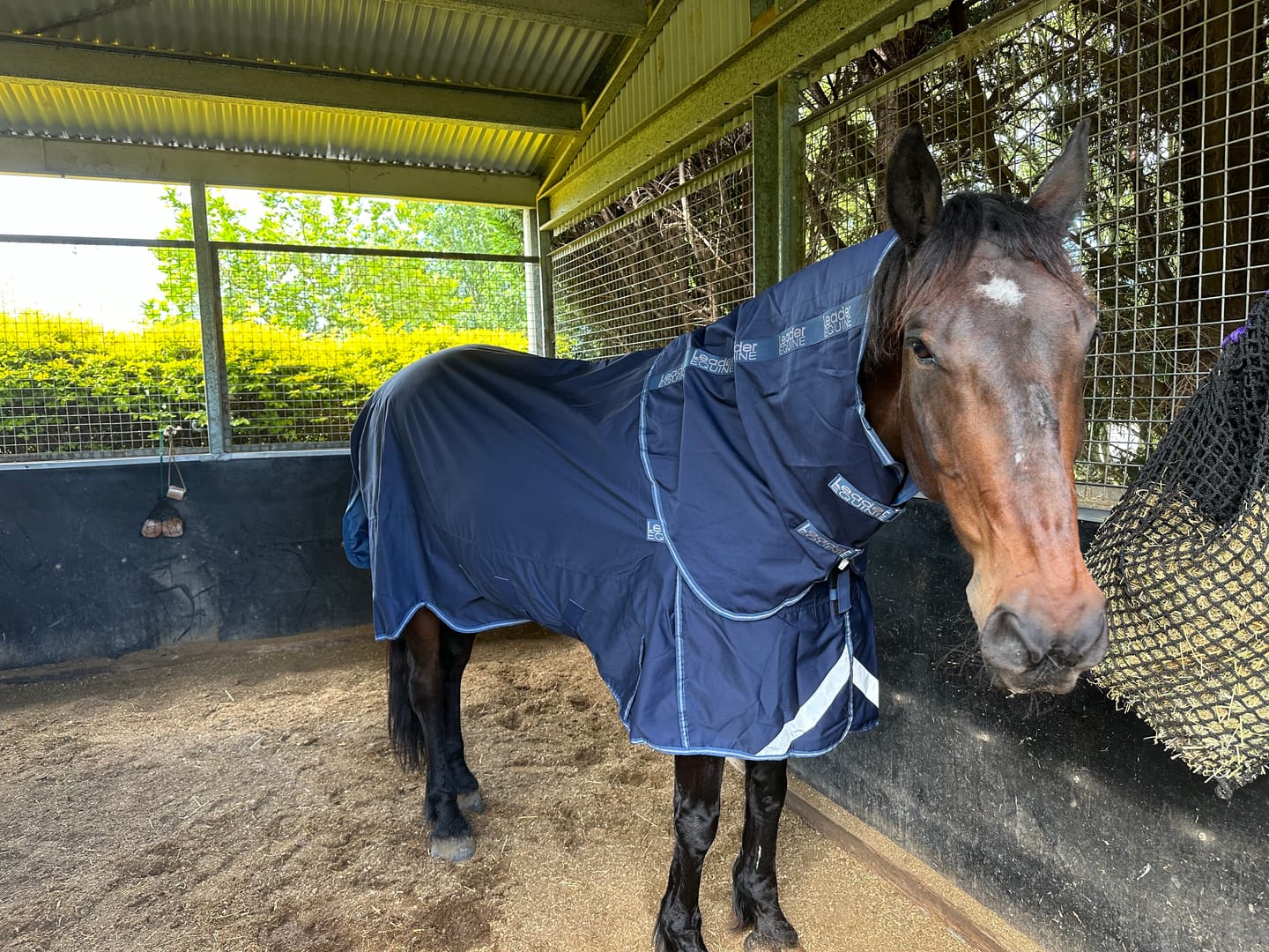 Customer photo review of LE Fieldsafe Universal Cotton Sheet