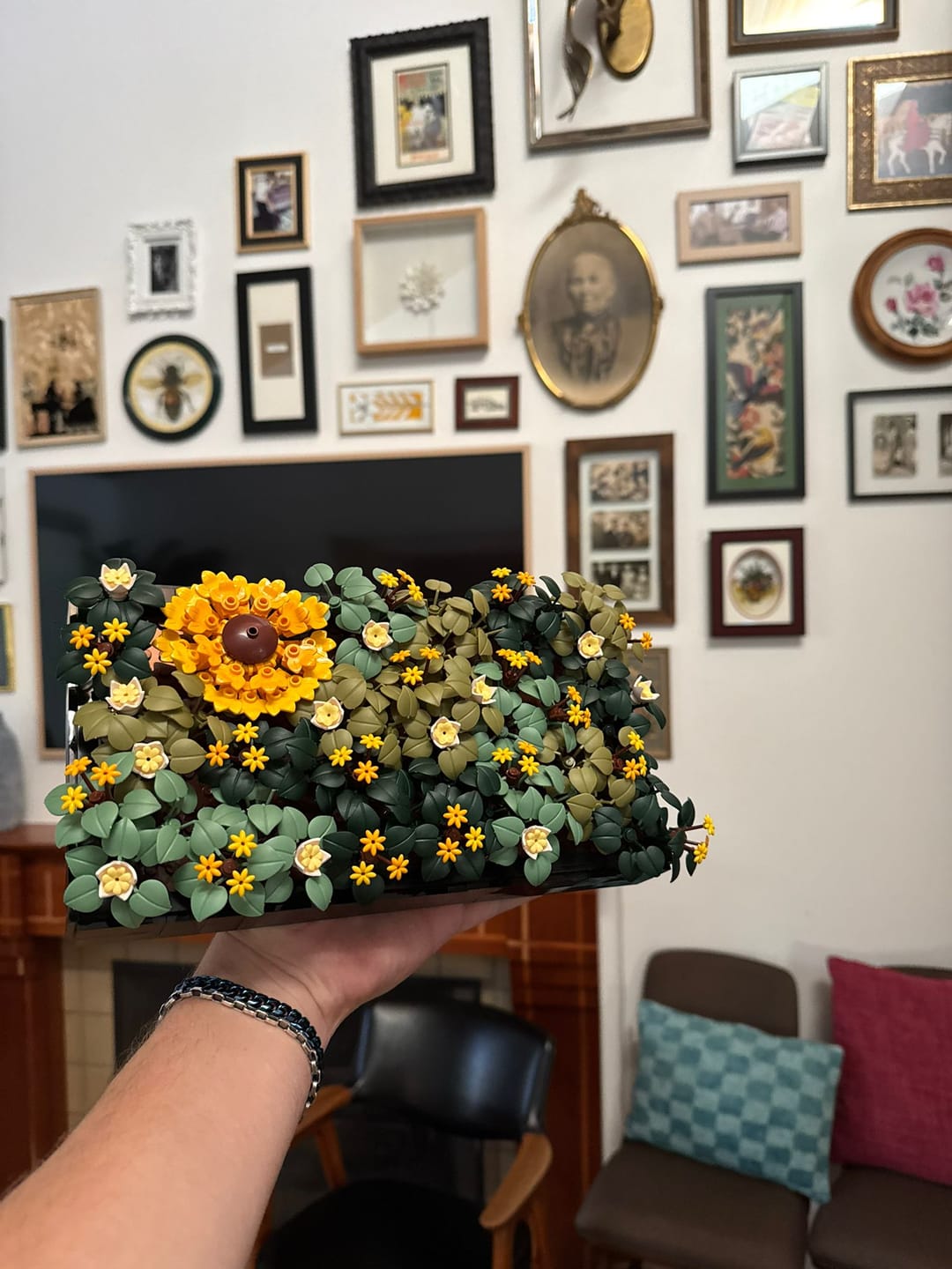 Customer photo review of Sunflower Moss Garden