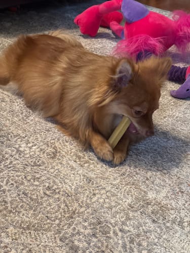 Customer photo review of MIX FLAVORED (strawberry, banana, mint, & blueberry): A PACK OF 4 STICKS