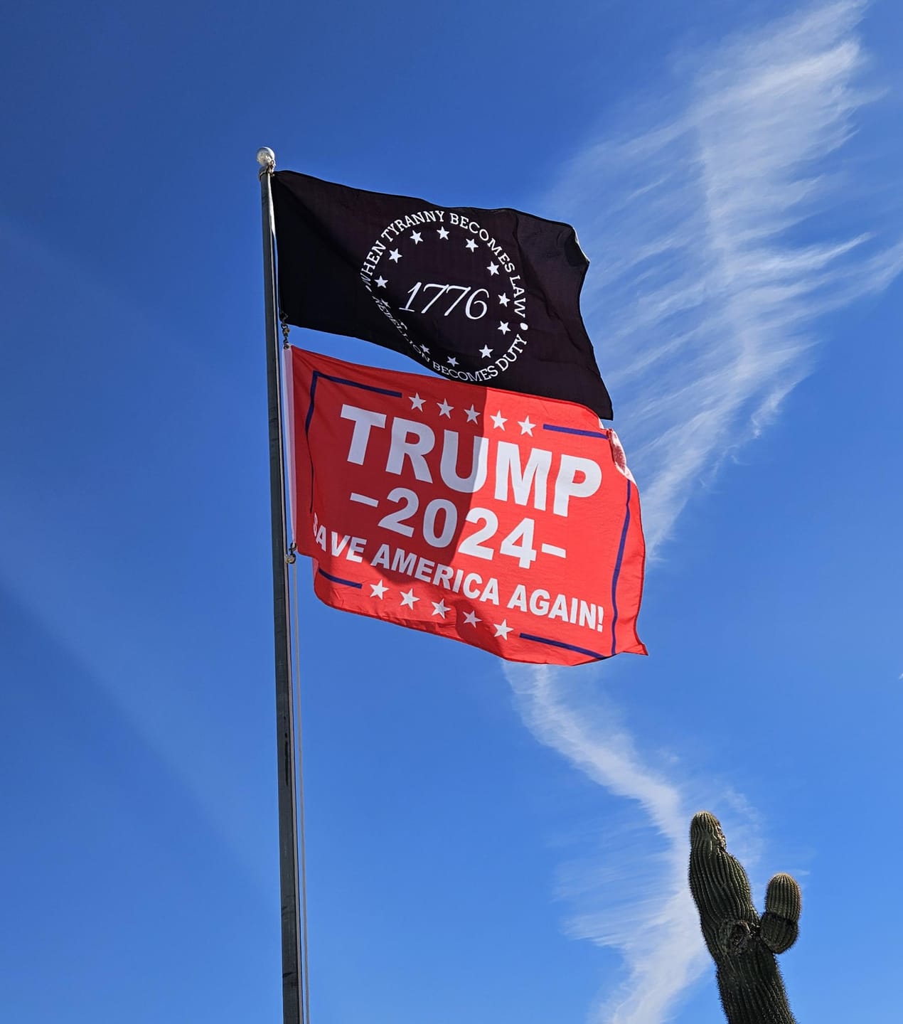 Customer photo review of When Tyranny Becomes Law Flag