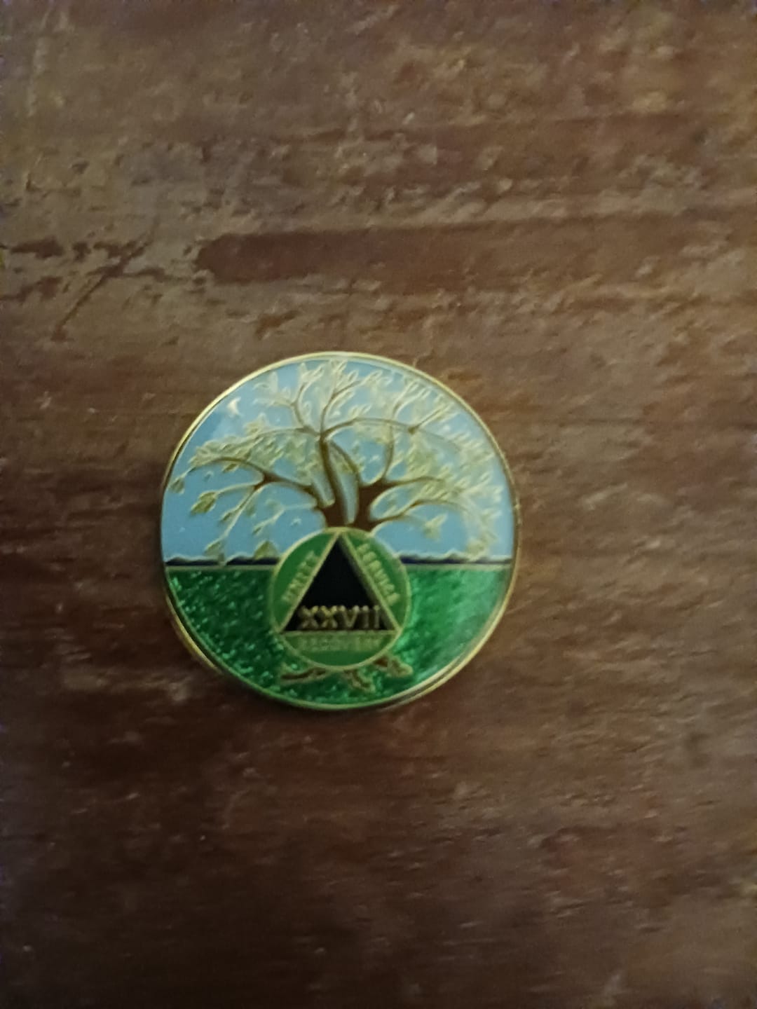 Customer photo review of 27 Year Tree of Life Specialty AA Recovery Medallion - Tri-Plated Twenty-Seven Year Chip/Coin
