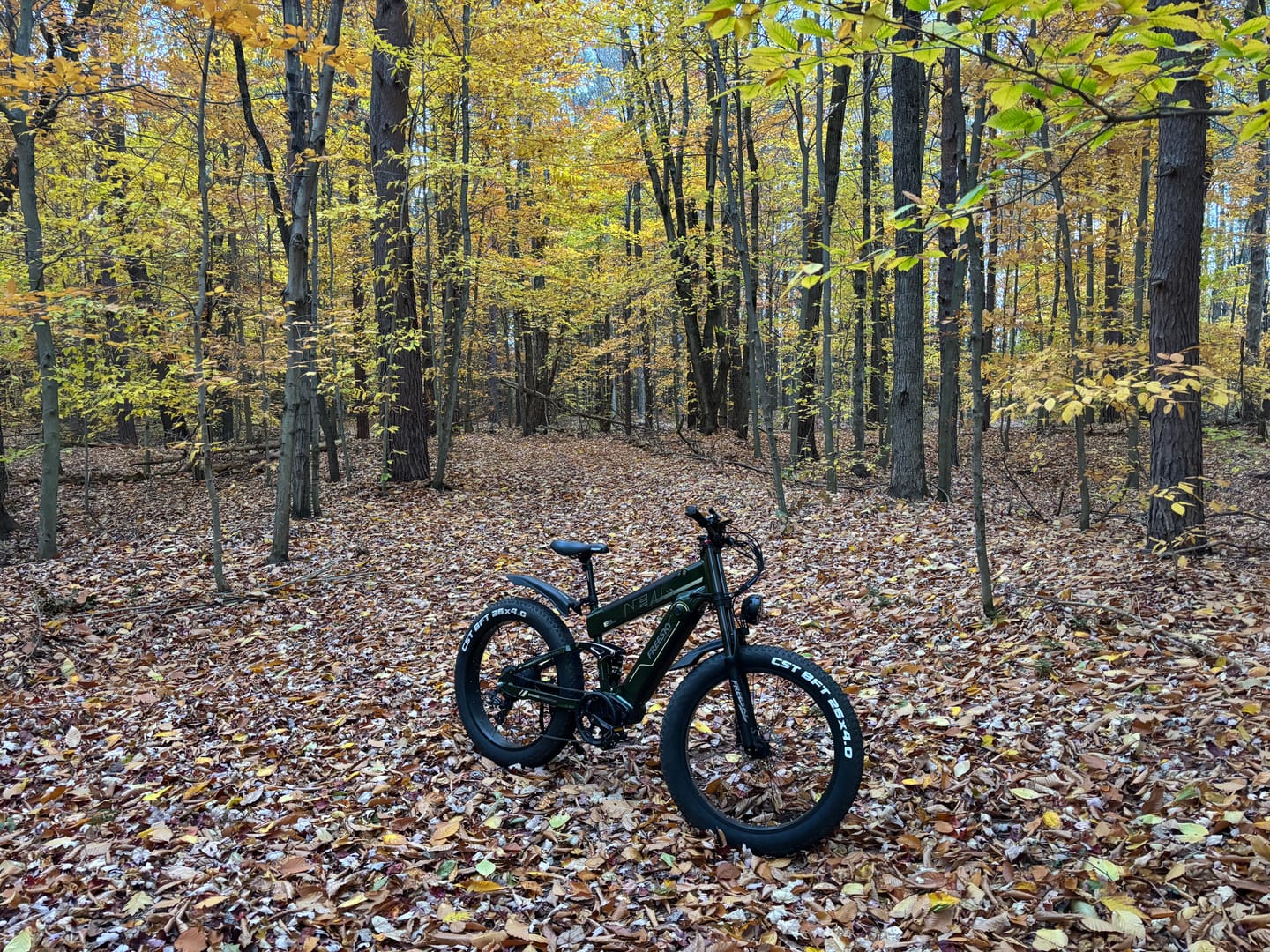 Customer photo review of Alaska Pro M-520