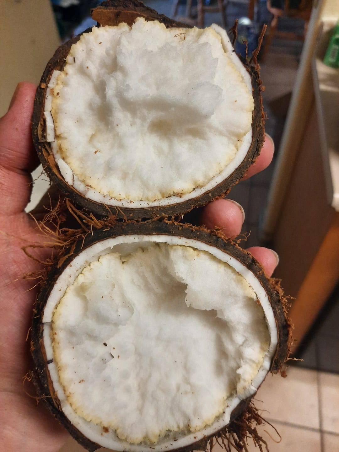 Customer photo review of Sprouted Coconut