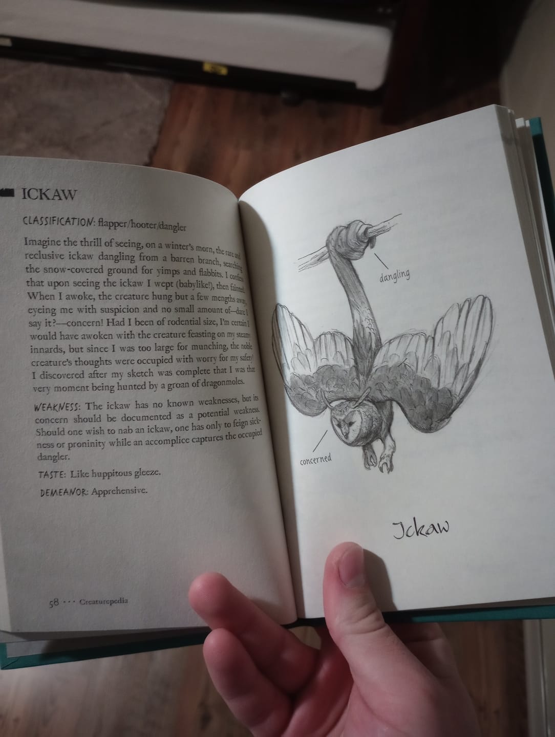Customer photo review of Wingfeather Saga Novel Book: Pembrick's Creaturepedia