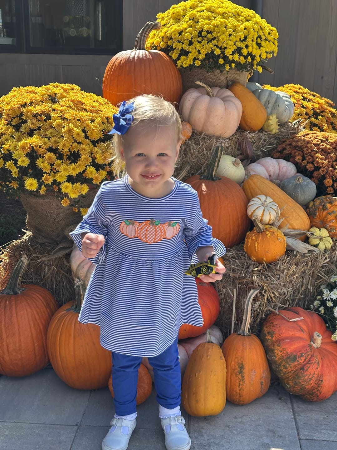 Customer photo review of Pumpkin Cluster Royal Blue Stripe Sophia Legging Set