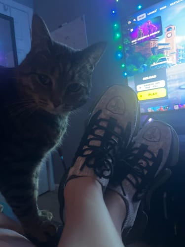 Customer photo review of Women's Black & White Psalm 23s