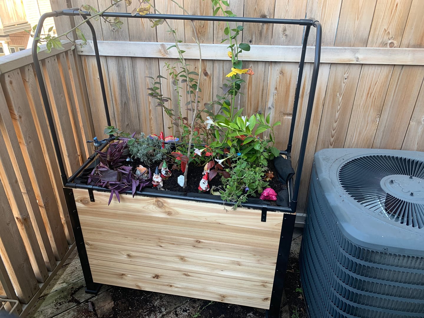 Customer photo review of 18" x 36" Planter Box - 24" Tall
