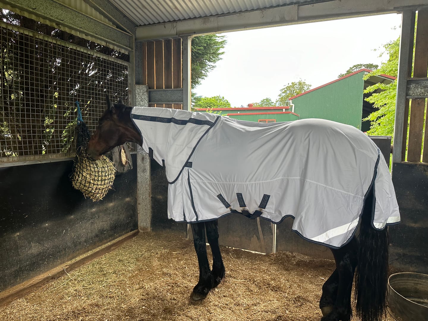 Customer photo review of LE Fieldsafe Summer Sheet