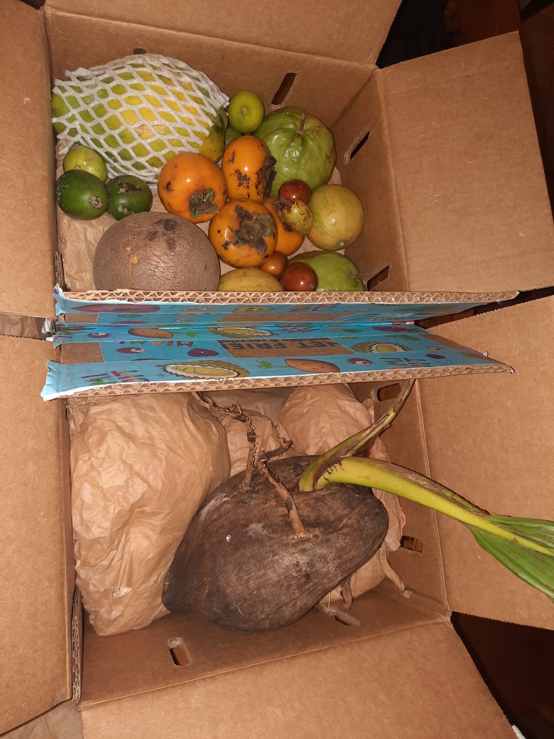 Customer photo review of Leftovers Box