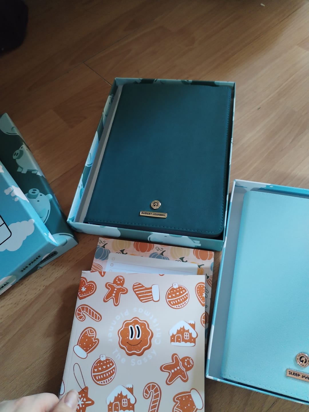 Customer photo review of Budget - Deluxe Life Journal