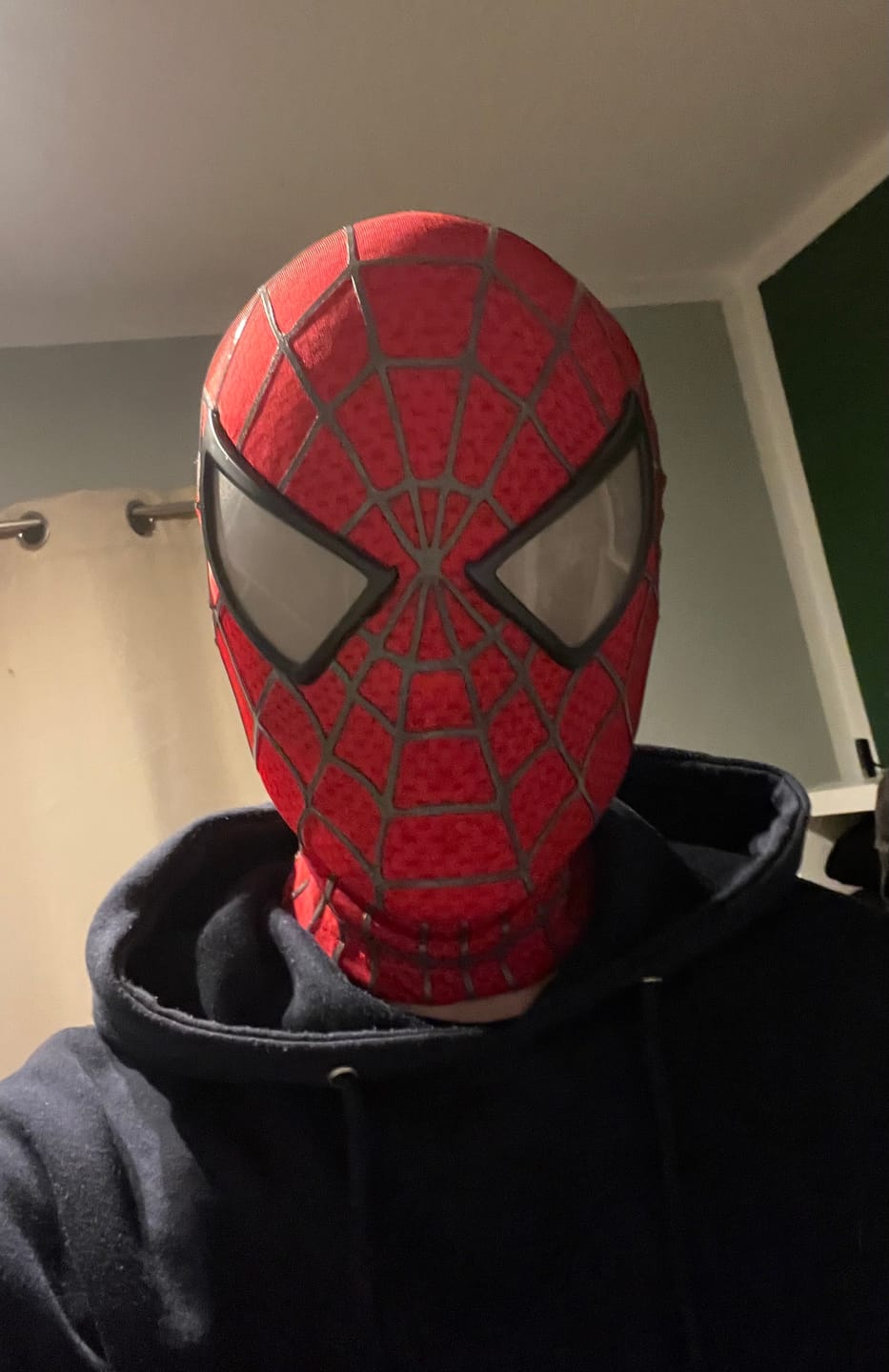 Customer photo review of SpideyJunky™ OG Tobey Spidey Mask
