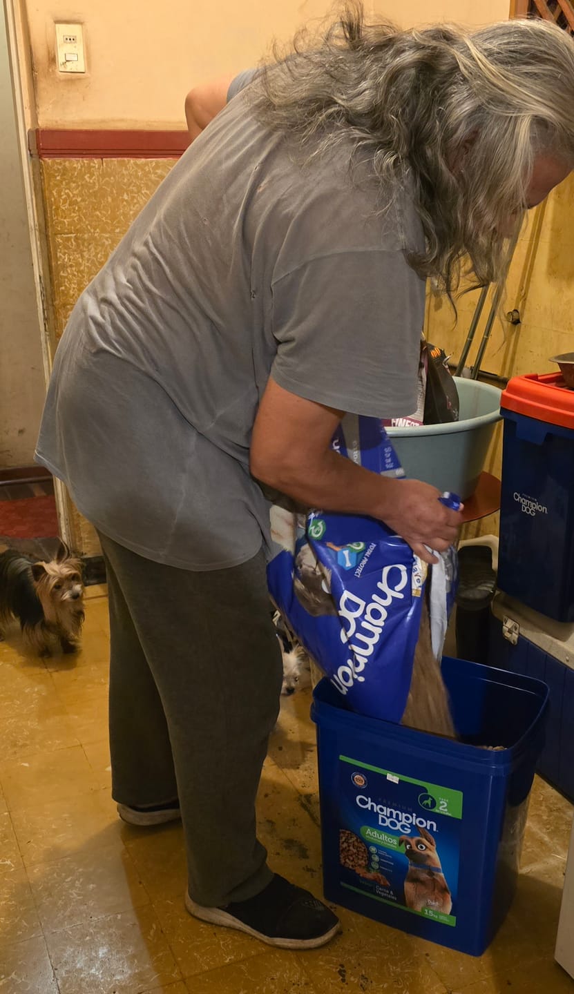 Customer photo review of CHAMPION DOG SENIOR CARNE Y POLLO