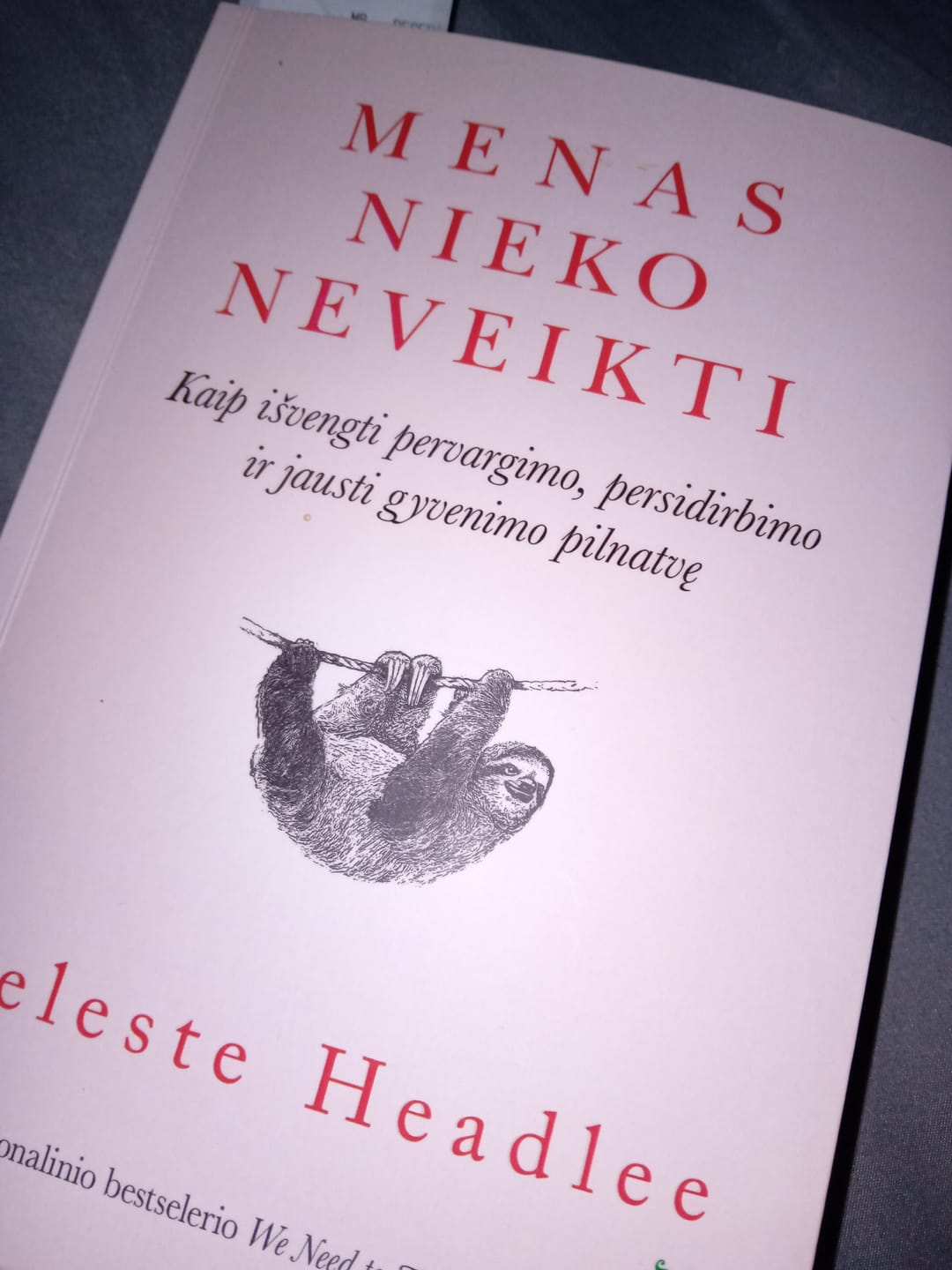 Customer photo review of Menas nieko neveikti: pasaulinis mega bestseleris apie tai, kaip darant mažiau pasiekti žymiai daugiau