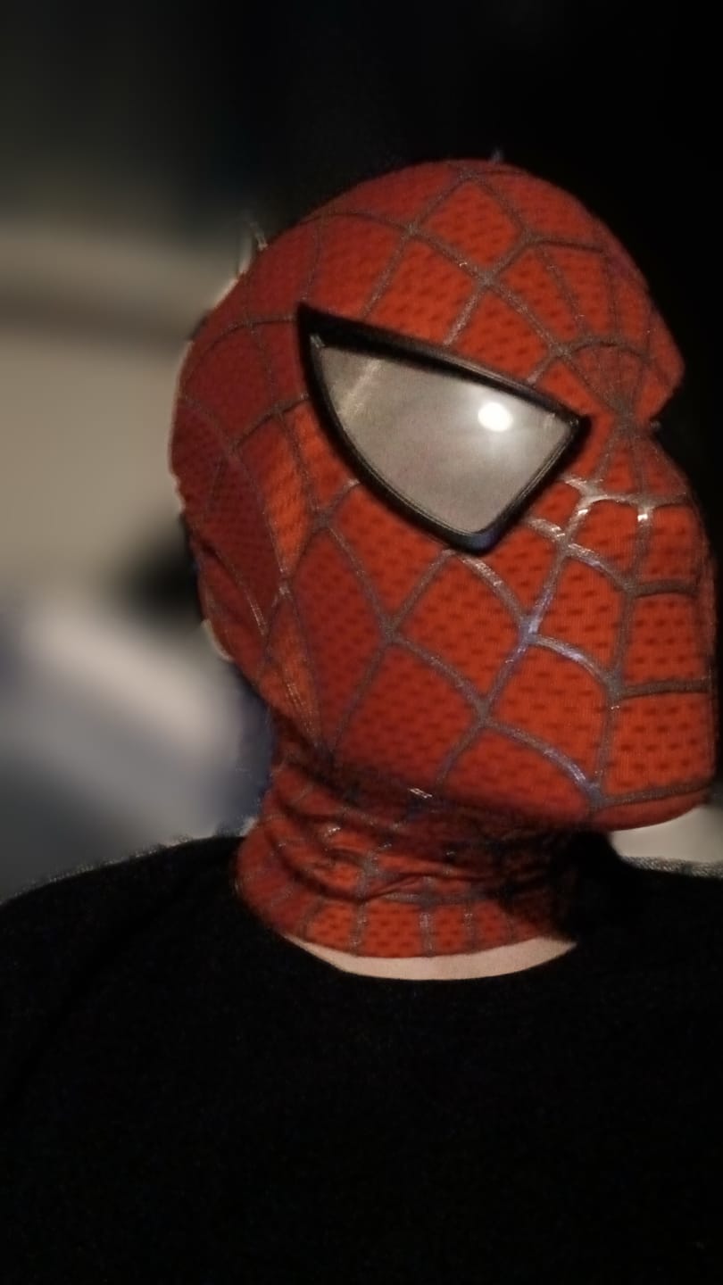 Customer photo review of SpideyJunky™ OG Tobey Spidey Mask