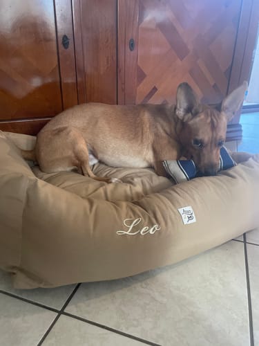 Customer photo review of Ricamo (NON RIMUOVERE)