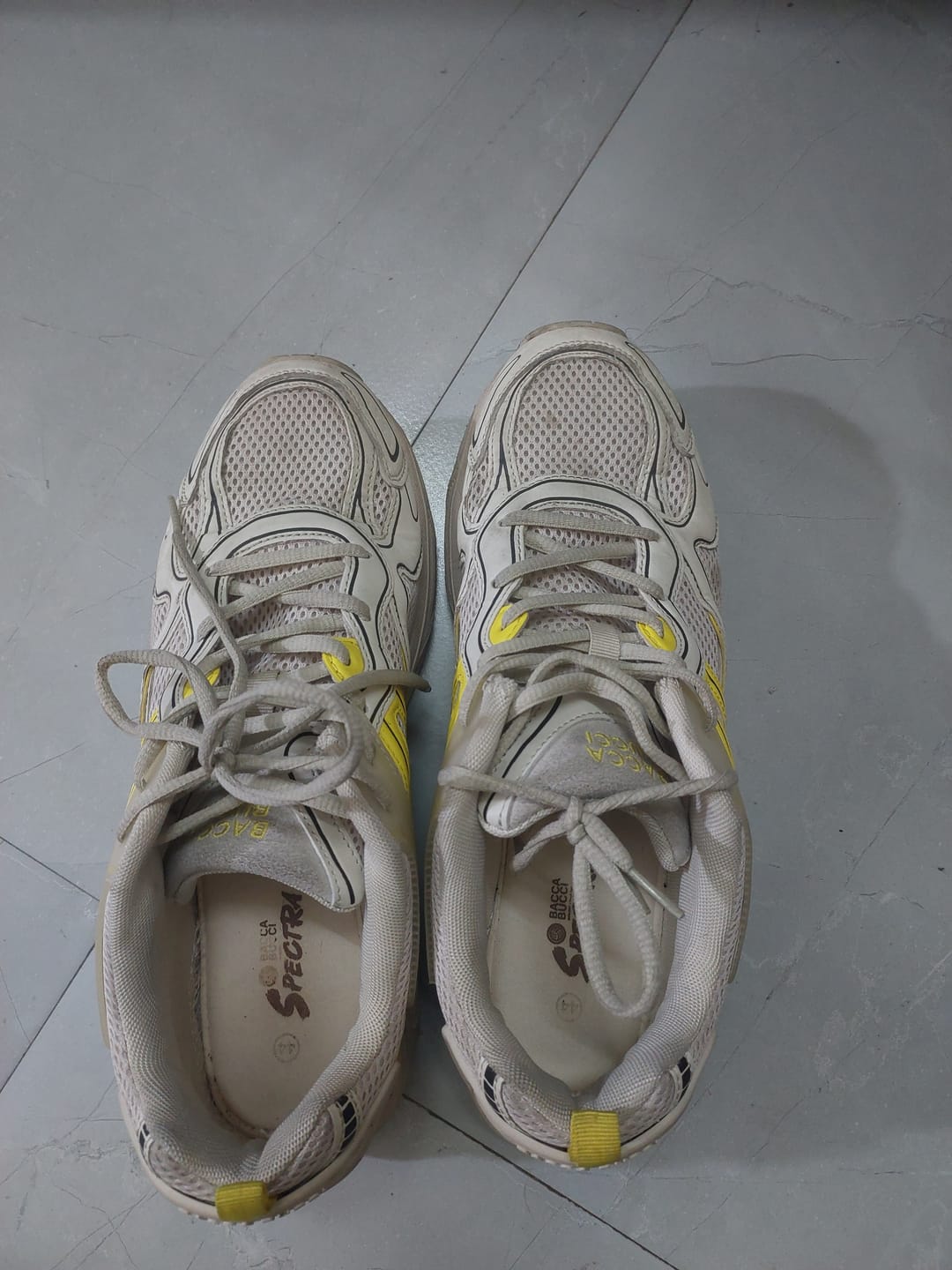 Customer photo review of Bacca Bucci Spectra Men's Sneakers