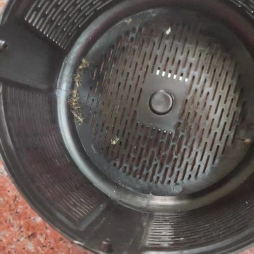 Customer photo review of Lampada antizanzare