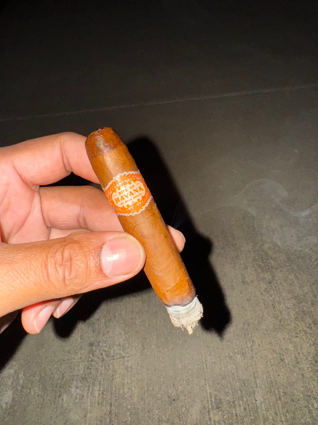 Customer photo review of Bits of Havana Robusto