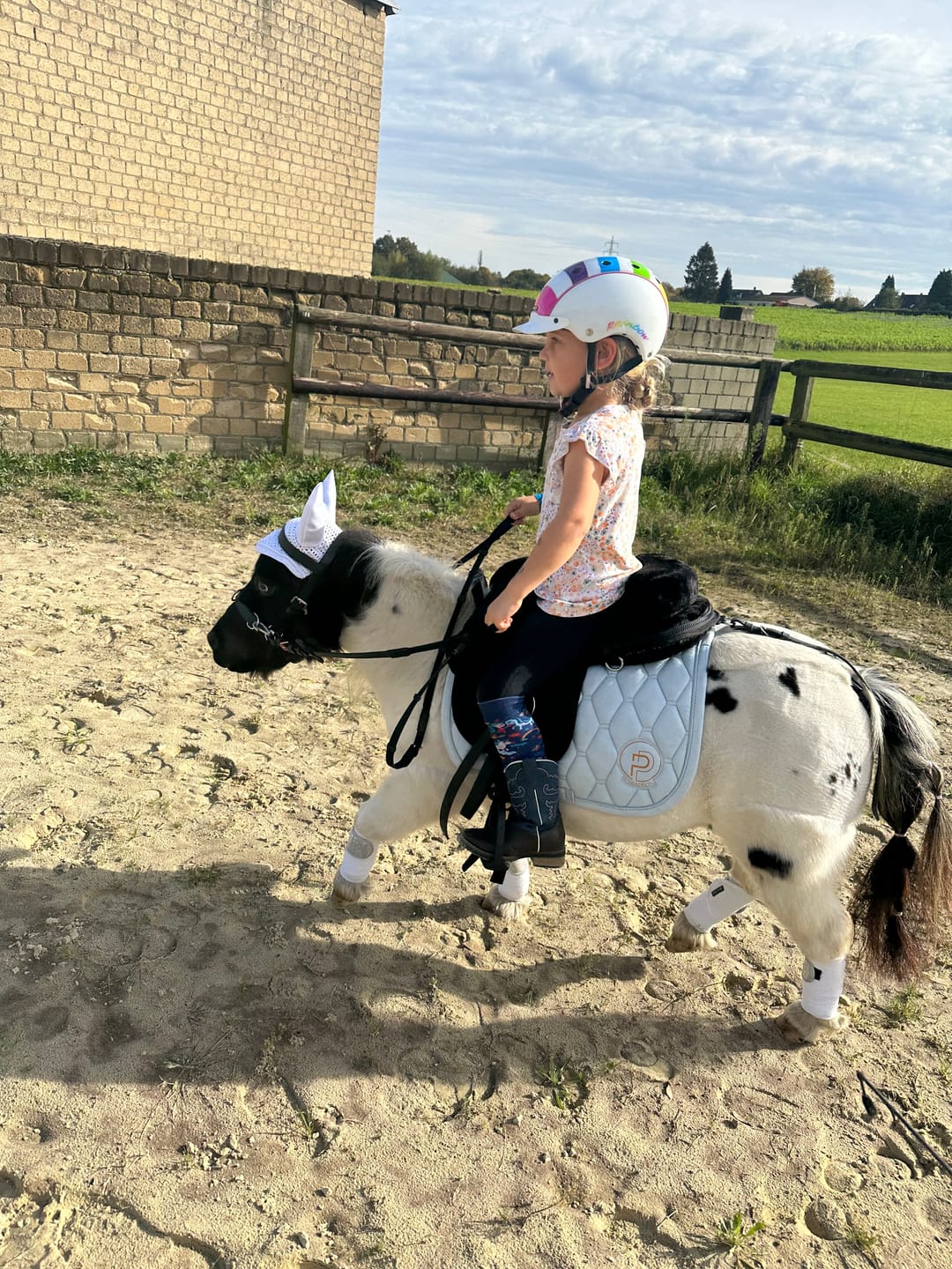 Customer photo review of Kunstfellsattel für Holzpferde und Minipferde