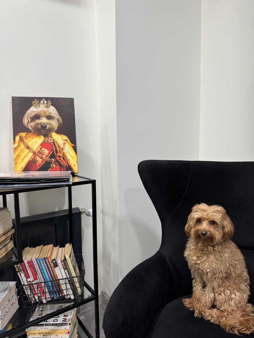 Customer photo review of The King of the Seven Kingdoms