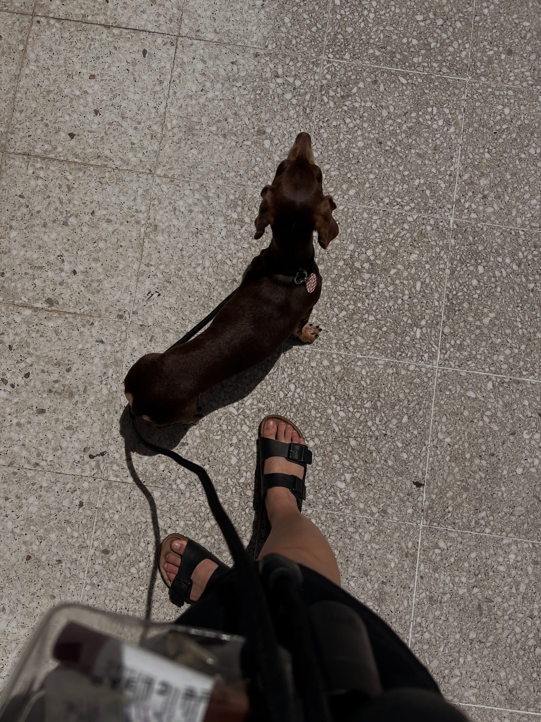 Customer photo review of HANDS FREE LEAD - Black