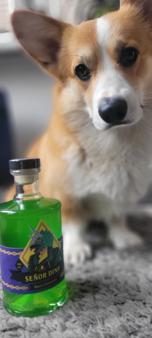 Customer photo review of Señor Dino – Basilikum Limoncello (700 ml)