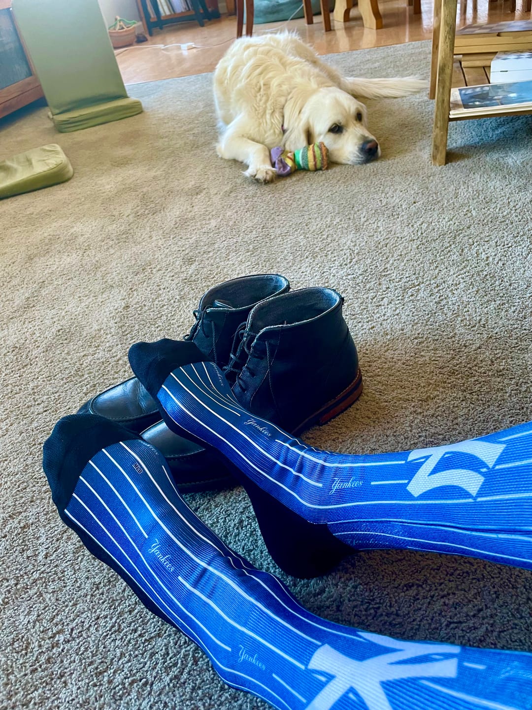 Customer photo review of New York Yankees Pinstripe Socks
