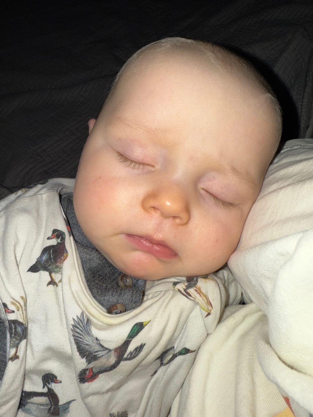 Customer photo review of Diving Ducks - Sleep Sack