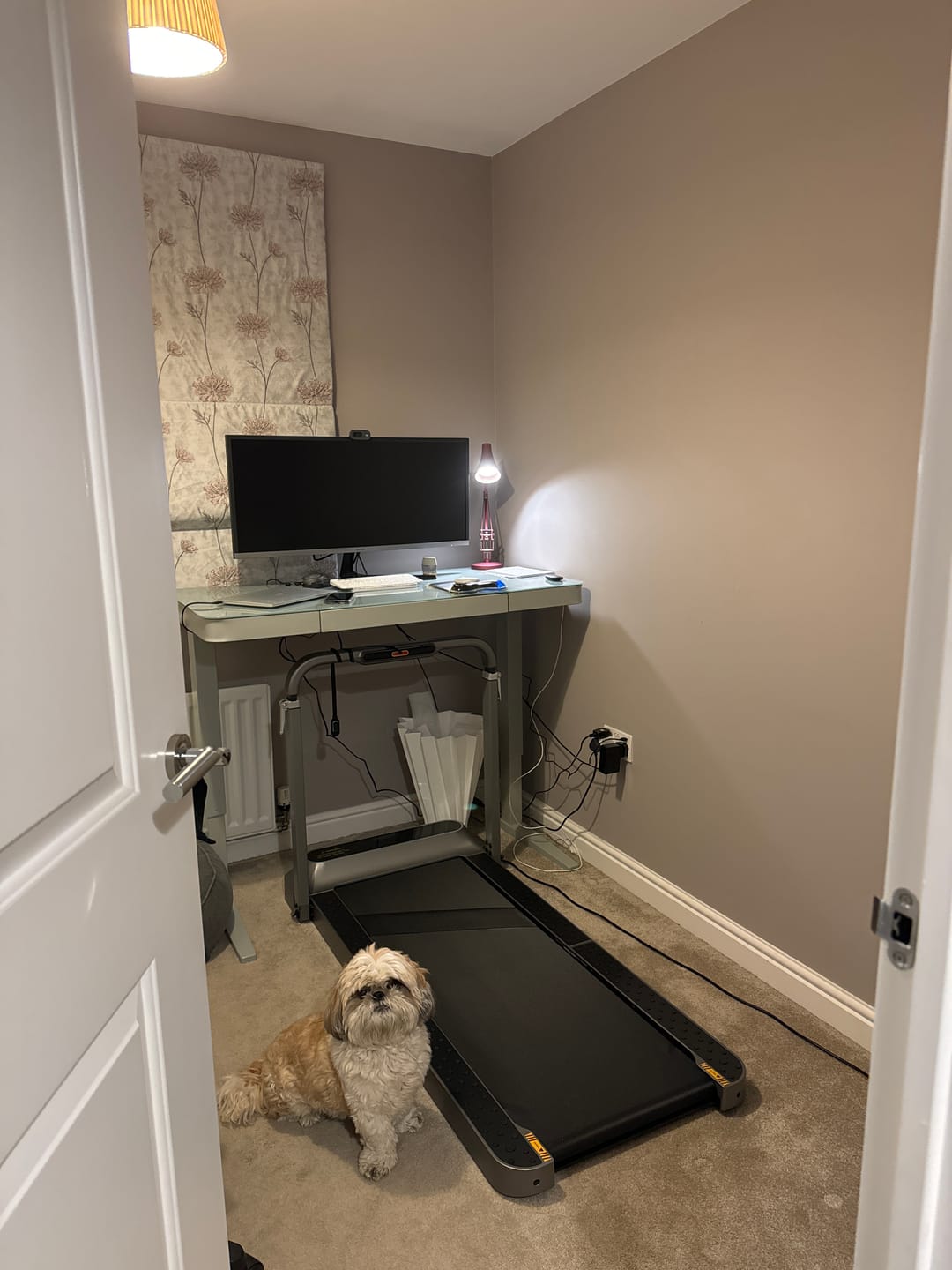 Customer photo review of WalkingPad R2 Walk&Run 2IN1 Folding Treadmill 7.5 MPH 240 lbs For UK
