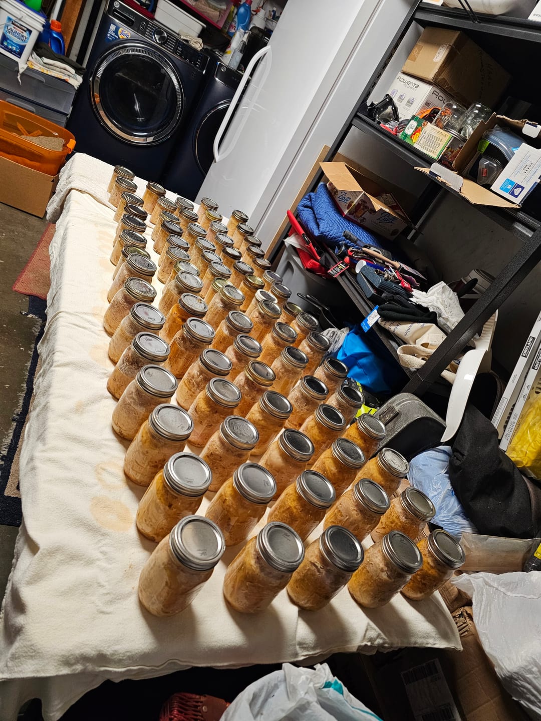 Customer photo review of Case of 20 – Denali Lids – 12 Canning Lids Per Pack – Wide Mouth