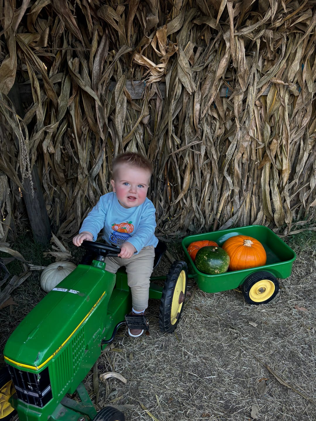 Customer photo review of Pumpkin Truck Light Blue Long Sleeve Shirt