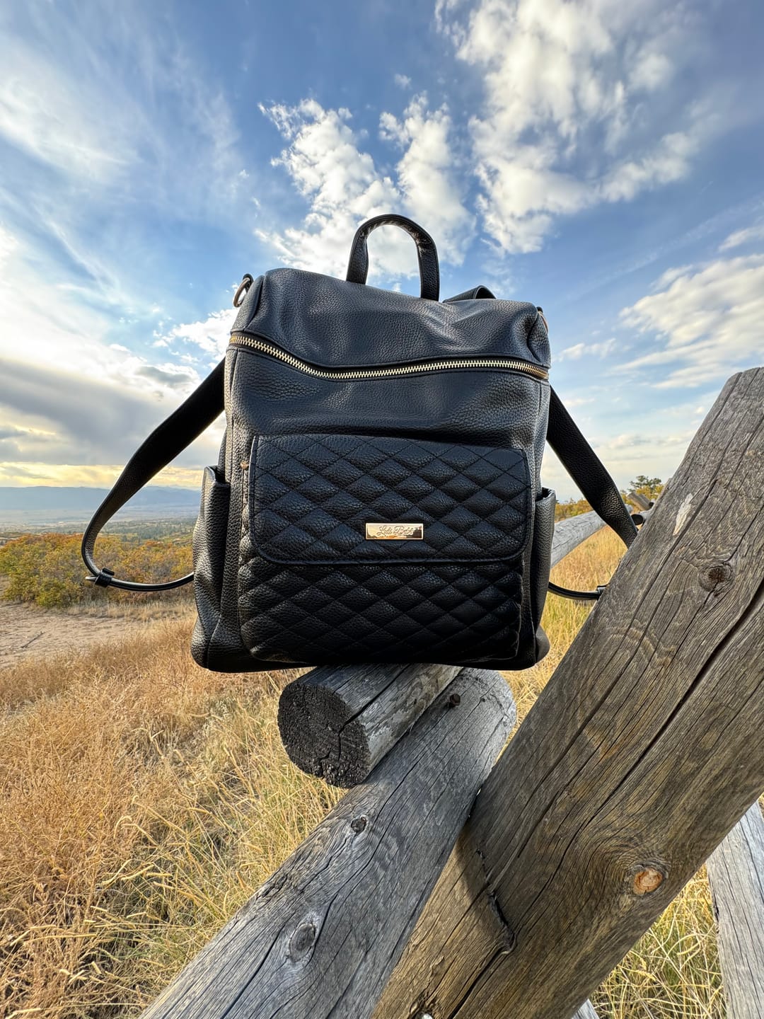 Customer photo review of Monaco Diaper Bag | Ebony Black