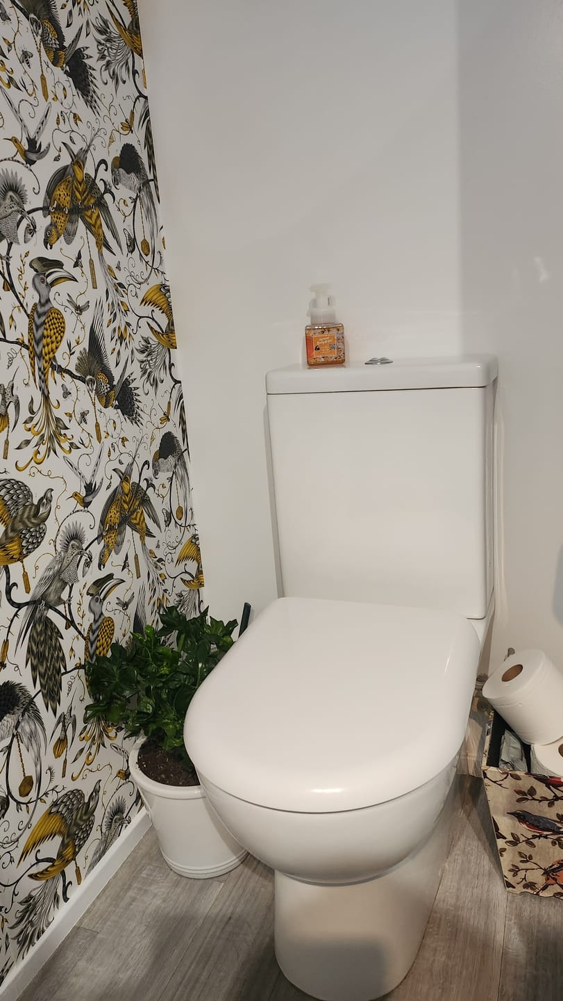 Customer photo review of BDÉT Baby Foam Wipe Mānuka Honey