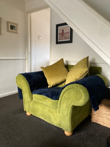 Customer photo review of Fabric Paint -- Olive