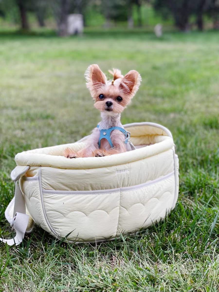 Customer photo review of SoftNest Lightweight Labor-Saving Sling Carrier Bag for Pets SoftNest