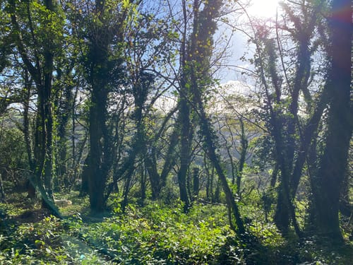 Customer photo review of Feel Good Hand Knit Jumpers