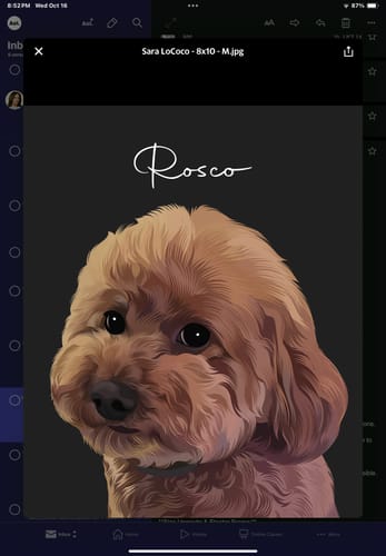 Customer photo review of Pet Art Canvas Wrap