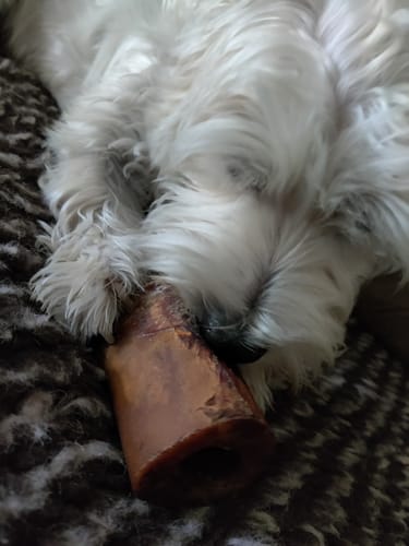 Customer photo review of Smoked Beef Marrow Bone